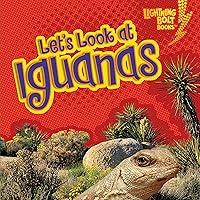 Algopix Similar Product 13 - Let's Look at Iguanas