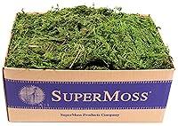 Algopix Similar Product 13 - SuperMoss Forest Moss Preserved