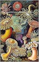 Algopix Similar Product 6 - Ernst Haeckel Art Forms in Nature