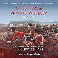 Algopix Similar Product 4 - The Letters of Private Wheeler An