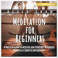 Algopix Similar Product 19 - Mindfulness for Beginners A Practical