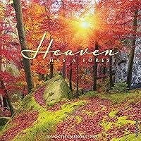 Algopix Similar Product 11 - Heaven Has a Forest 2025 12 x 12 Wall