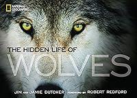 Algopix Similar Product 2 - Hidden Life of Wolves, The