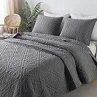 Algopix Similar Product 2 - RSHARE Dark Grey Queen Size Quilt