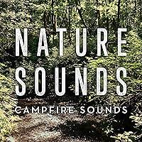 Algopix Similar Product 9 - Campfire Sounds