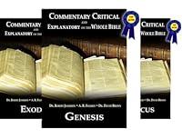 Algopix Similar Product 16 - Commentary Critical and Explanatory on