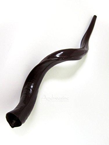 Algopix Similar Product 8 - Shofar, Synthetic, Mahogany Finish