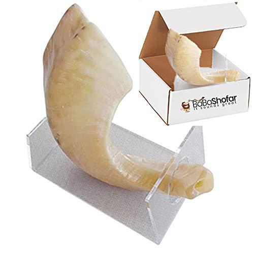 Algopix Similar Product 20 - Baba Shofar Kit Ram Polished Natural