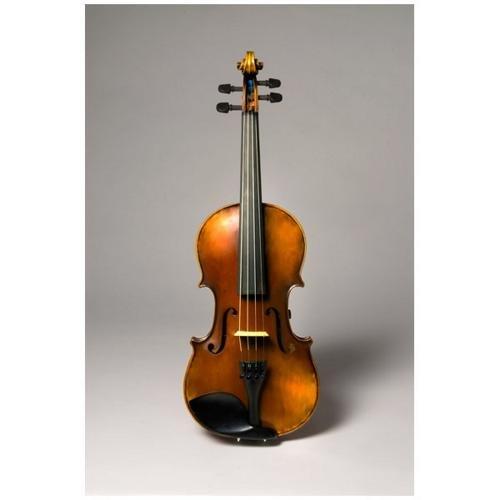 Algopix Similar Product 13 - The Realist RV4 Pro Acoustic Electric