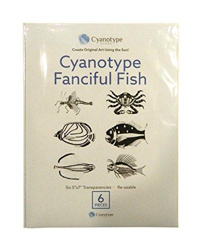 Algopix Similar Product 1 - Fanciful Fish Transparencies (Set of 6)