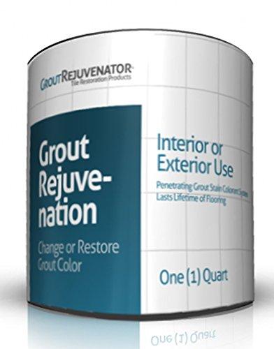 Algopix Similar Product 16 - Grout Rejuvenator Quart (Black)