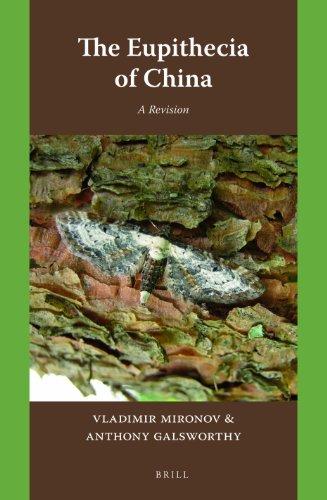 Algopix Similar Product 10 - The Eupithecia of China: A Revision