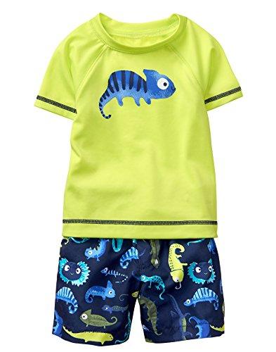 Algopix Similar Product 20 - Gymboree Baby Boys 2Piece Short Sleeve