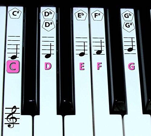 Algopix Similar Product 8 - FineFun Transparent Plastic Removable