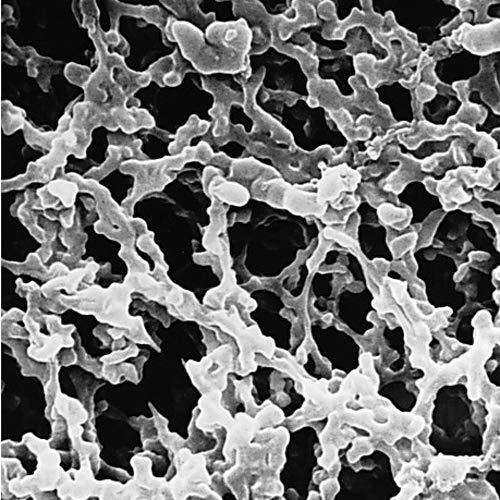 Algopix Similar Product 2 - EMD Millipore MFMillipore HATF14250