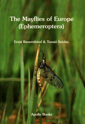 Algopix Similar Product 7 - The Mayflies of Europe: (Ephemeroptera)