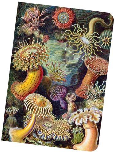 Algopix Similar Product 15 - Studio Oh NotesBOOK Animal Kingdom