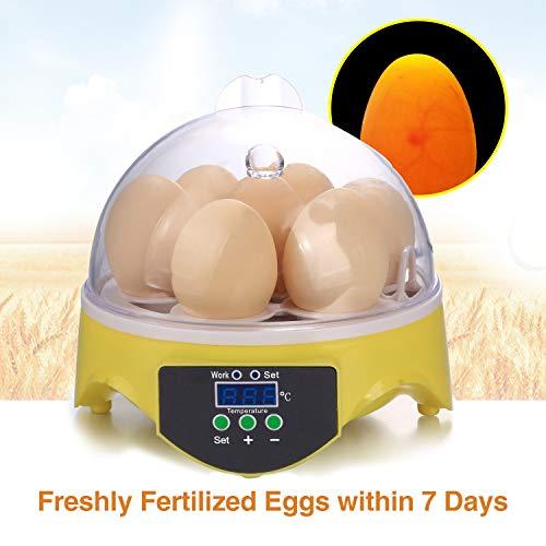 Algopix Similar Product 11 - Currens Egg Incubator New Digital Mini
