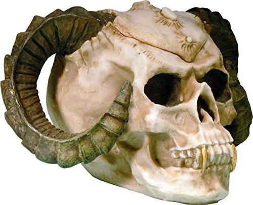 Algopix Similar Product 3 - Nose Desserts Human Skull Voodoo