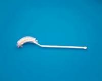 Algopix Similar Product 7 - Volumetric Flask Brush  1 38 x 3