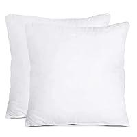Algopix Similar Product 8 - Inno Decorative Throw Pillow Cushion 