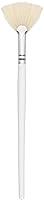 Algopix Similar Product 9 - Fan Brush Boar 8 Glycolic Lactic TCA