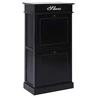 Algopix Similar Product 4 - vidaXL Shoe Cabinet  Elegant Black