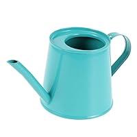 Algopix Similar Product 6 - BESPORTBLE Mini Iron Watering Can for
