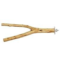 Algopix Similar Product 8 - Natural Branch Forked Durable