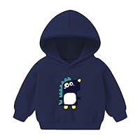 Algopix Similar Product 3 - Kids Dinosaur Sweatshirts Luminous