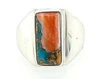 Algopix Similar Product 10 - Gorgeous Spiny Oyster Arizona Turquoise