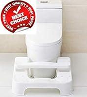 Algopix Similar Product 9 - Potty Slider New Squatting Toilet