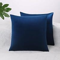 Algopix Similar Product 19 - QUORGVES Blue Velvet Throw Pillow