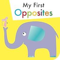 Algopix Similar Product 19 - My First Opposites