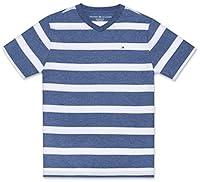 Algopix Similar Product 13 - Tommy Hilfiger Little Boys Stripe