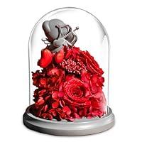 Algopix Similar Product 18 - JoyFlower Valentines Day Gifts for