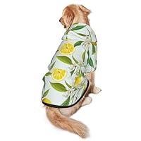 Algopix Similar Product 2 - Dog Sweater Lemon Fruits Dog Coats