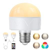 Algopix Similar Product 1 - merloly Rechargeable Light Bulbs with