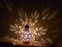 Algopix Similar Product 2 - flover gourd lamp.decorative lamp,