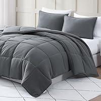 Algopix Similar Product 7 - Casa Platino Printed Comforter Set Twin