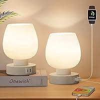 Algopix Similar Product 15 - Touch Bedside Table Lamp Set of 2 