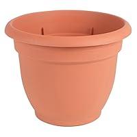 Algopix Similar Product 3 - Ariana Pot Trcot 20"