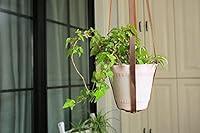 Algopix Similar Product 9 - Vintage Brown Leather Plant Hanger