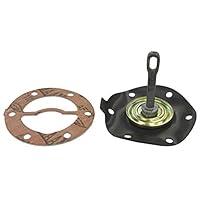 Algopix Similar Product 12 - Sierra 18-3498 Diaphragm Kit