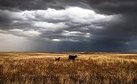 Algopix Similar Product 4 - Western Photography Print Not Framed