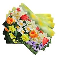 Algopix Similar Product 3 - Various Flowers Tulips Place Mats Set