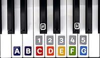Algopix Similar Product 20 - Piano Keyboard Stickers  Washable