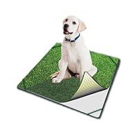 Algopix Similar Product 14 - Pooch Pads Indoor Turf Dog Potty