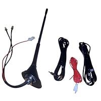 Algopix Similar Product 12 - Majestic Global USA Majestic Amfmtv