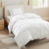 Algopix Similar Product 7 - Bedsure Down Comforter Twin Size  All